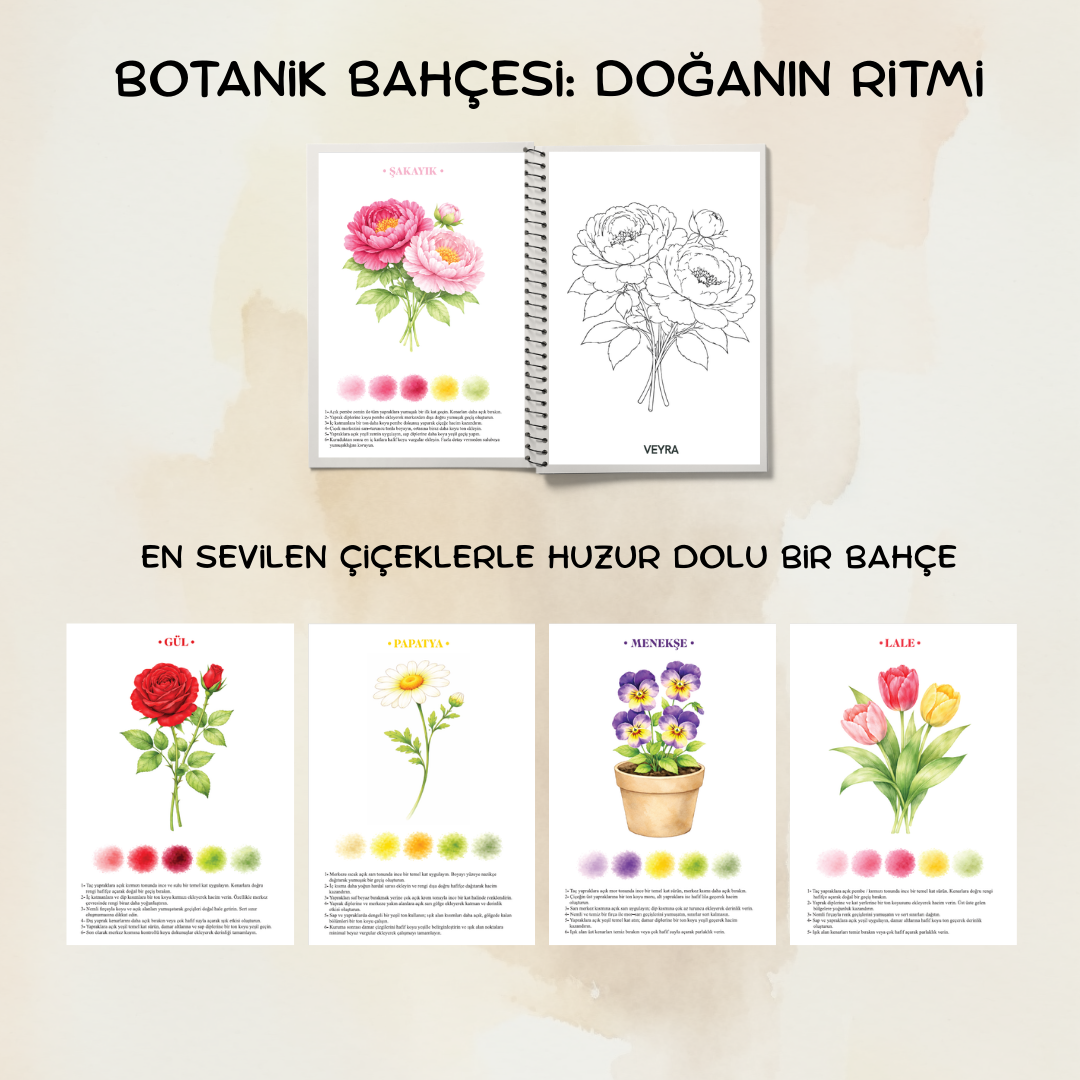 Veyra Rehberli Sulu boya Boyama Kitapları