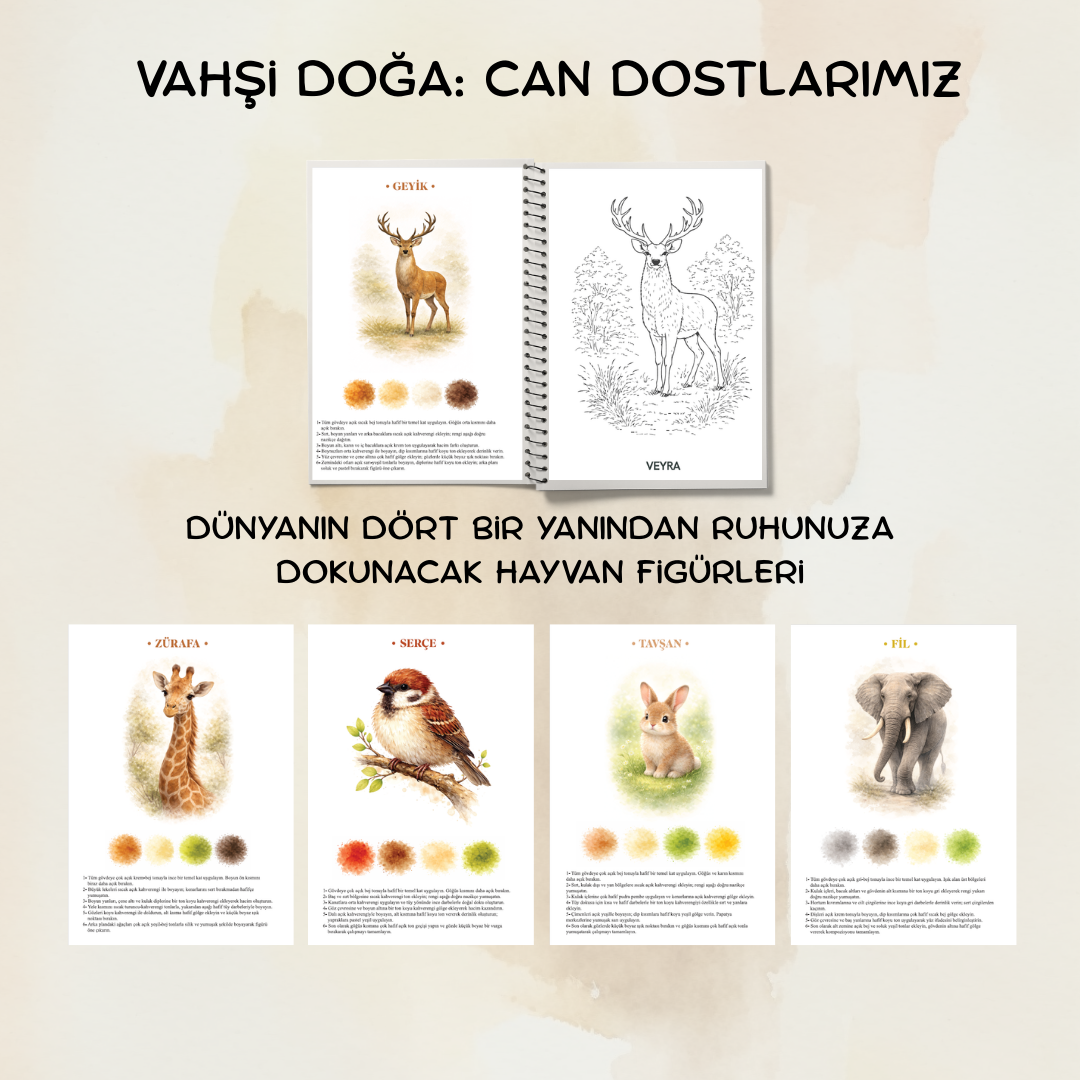 Veyra Rehberli Sulu boya Boyama Kitapları