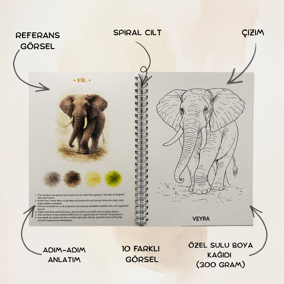 Veyra Rehberli Sulu boya Boyama Kitapları