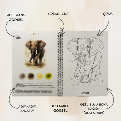 Veyra Rehberli Sulu boya Boyama Kitapları
