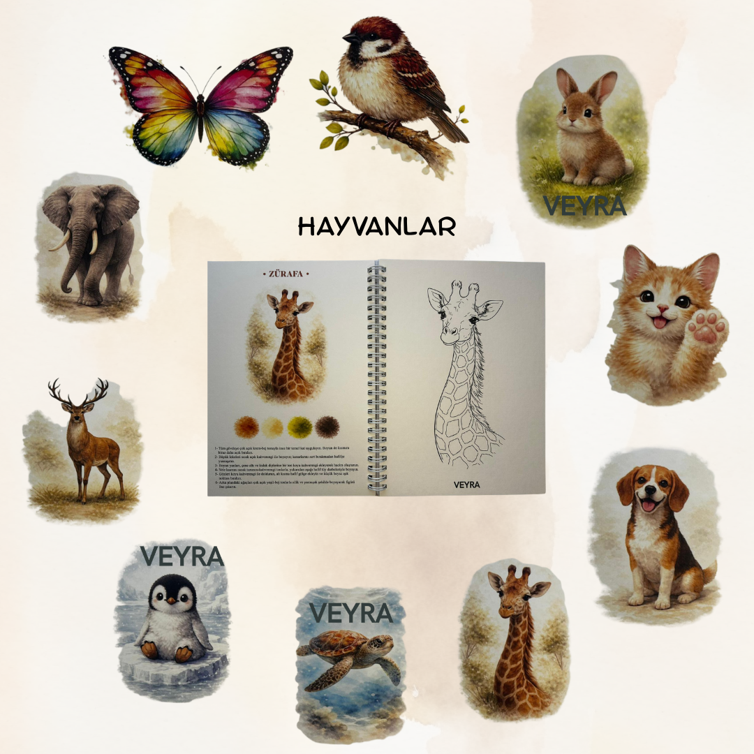 Veyra Rehberli Sulu boya Boyama Kitapları